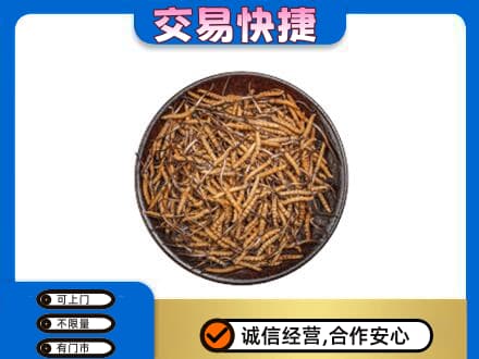 宜宾市屏山礼品回收虫草.jpg