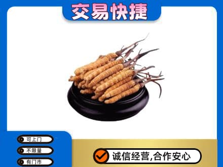 宜宾市屏山礼品回收散虫草.jpg